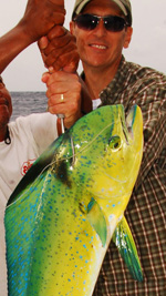 Cancun Fishing mahi mahi, charters cancun